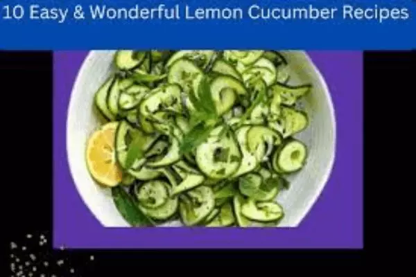10 Easy & Wonderful Lemon Cucumber Recipes Everyone Must Try