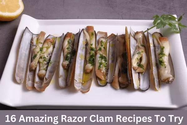 Seaside Delights: 16 Amazing Razor Clam Recipes to Satisfy Your Palate