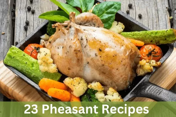 23 Mouth-Watering Pheasant Recipes to Impress Your Guests