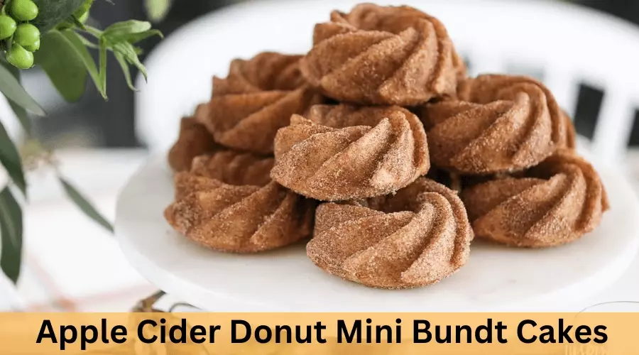 Apple Cider Donut Mini Bundt Cakes