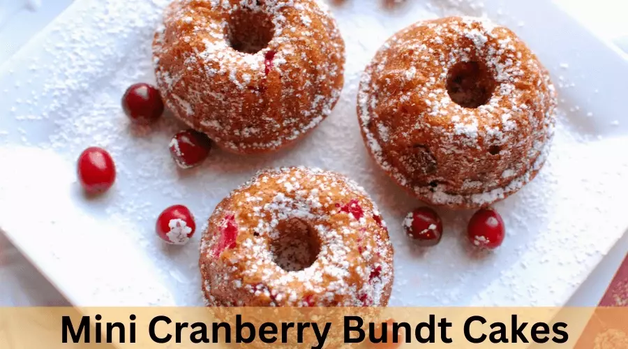 Mini Cranberry Bundt Cakes