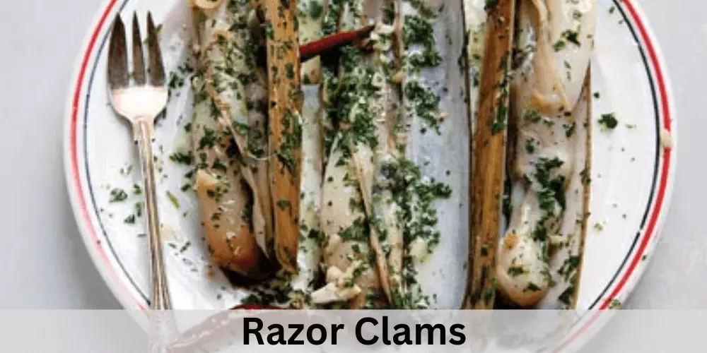 Razor Clams With Piquillo Peppers