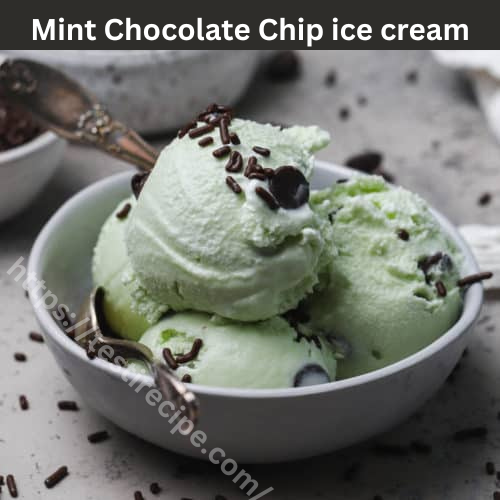 Mint Chocolate Chip ice cream